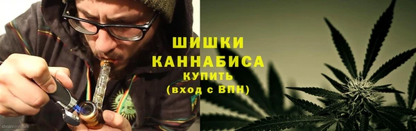 2c-b Козельск