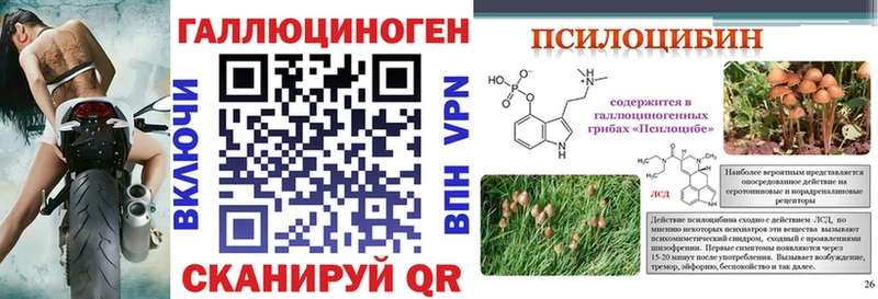 дарк нет телеграм  где можно купить   Кяхта  Галлюциногенные грибы прущие грибы 